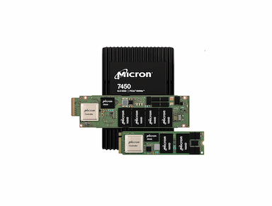 Micron 7450 MAX - SSD - Enterprise - 3200 GB - U.3 PCIe 4.0