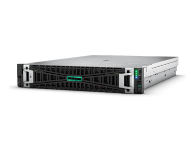 HPE ProLiant DL365 Gen11 - 32 GB - rack-mountable - EPYC 9124 3 GHz - no HDD
