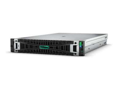 HPE ProLiant DL380 Gen11 Network Choice - rack-mountable - 64 GB - SSD 2 x 480 GB - Xeon Silver 4510 2.4 GHz 