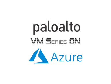 Paloalto VM-300