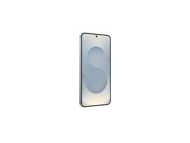 Samsung Galaxy S25, Silver Shadow