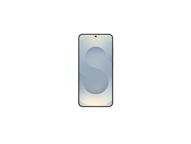 Samsung Galaxy S25, Silver Shadow